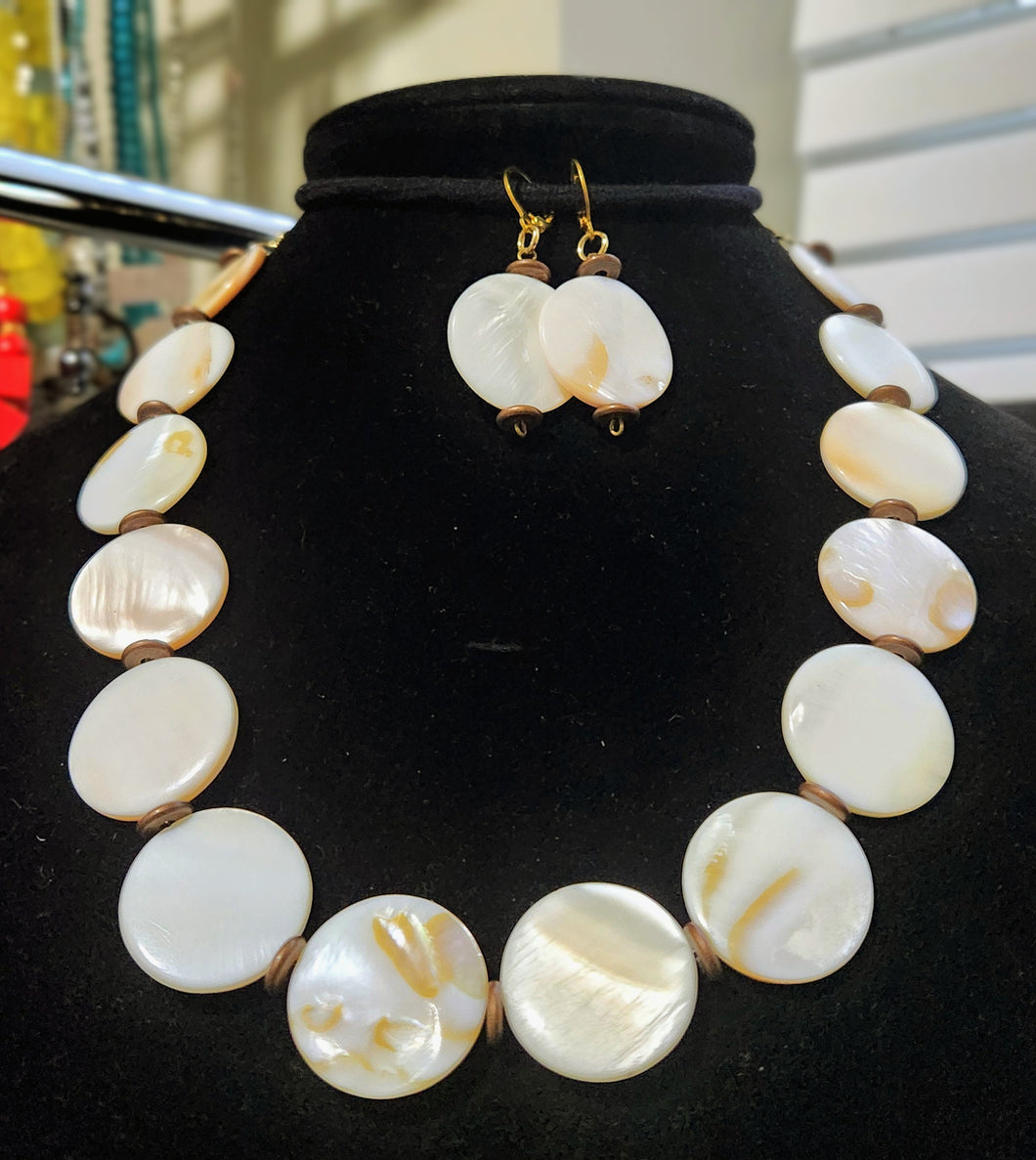 Shell Wonder